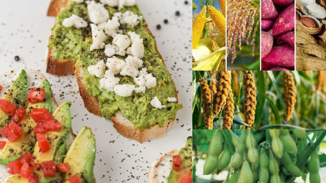 AgroFuture: Advancing Food and Agriculture Technology